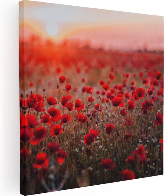Artaza Canvas Schilderij Rode Klaprozen Bloemenveld Zonsondergang - 90x90 cm - Canvas Print