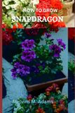 How Bol How to grow Snapdragon flowers for beginners