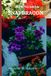 How Bol How to grow Snapdragon flowers for beginners