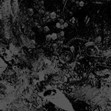 Suburban Primitive Man/Unearthly Trance Split