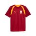 Puma Galatasaray S.K. Trainingsshirt Heren XL