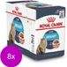 Royal Canin Fhn Urinary Care In Gravy Mp Pouch - Kattenvoer - 8 x (12 x 85 g)