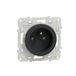 Schneider Electric Odace Prise De Courant 2p+t Anthracite