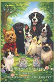 AN Independently Published An Unexpected Family Paperback