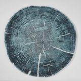 Abyss & Habidecor Abyss & Habidecor Fossile Badmat 0/95 325 Dragonfly