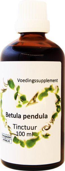 Ther Winkel Betula pendula ruwe berk 100ml