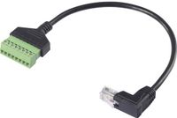 Renkforce RJ45 Netwerk Adapterkabel 30 cm Zwart