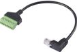 Renkforce RJ45 Netwerk Adapterkabel 30 cm Zwart