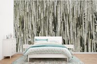 Nr1Wallpaper Fotobehang Cactus - Natuur - Vetplanten - Vlies - 295x220 cm - Multicolor