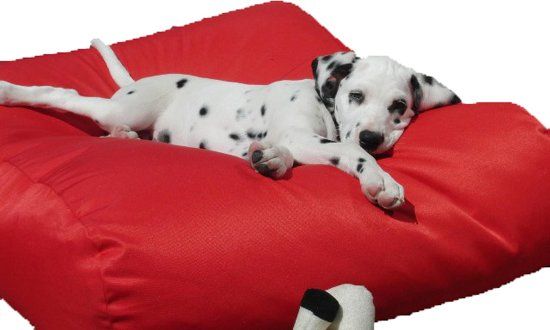 Dog's Companion Hondenkussen - M - 90 x 70 cm - Rood