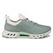 Ecco Biom C4 chaussures de golf, vert
