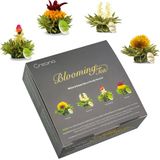 Creano 4 theebloemen in luxe geschenkdoos - Teelini witte & groene thee in kopformaat