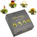 Creano 4 theebloemen in luxe geschenkdoos - Teelini witte & groene thee in kopformaat