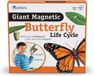 Learning Resources Reuze magnetische levenscyclus van een vlinder