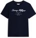 Tommy Hilfiger Heren T-shirt Katoen Korte Mouw L Donkerblauw