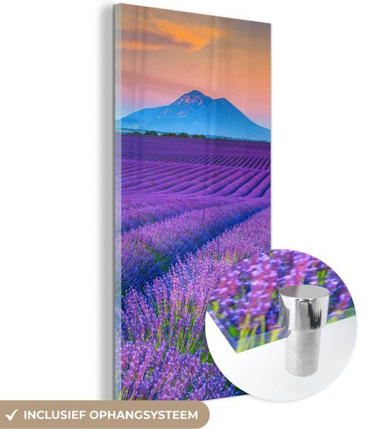 MuchoWow® Glasschilderij 20x40 cm - Lavendel - Paars - Bloemen - Foto op glas - Acrylaat - Modern