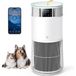 Purificateur d'air animaux - Filtre HEPA - Avec application - Cadr 463 m³/h - Mode nuit