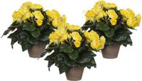 Mica Decorations Kunstplant Begonia Geel 30 cm - 3 Stuks