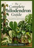 The Complete Philodendron Guide: Care, Propagation, Climbing Support, Variegation, and Collector Varieties