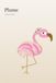 Plume: A 120-Page Wide Ruled Notebook for Flamingo Lovers, Journaling & Everyday Writing