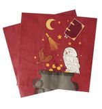 ScrapCooking - 20 servetten tovenaar 33 x 33 cm - verjaardagsdecoratie