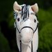 Hobby Horse Land Hobby Horse "Dune" Fjord - Stokpaard - A3
