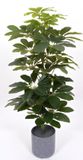 Oosterik Home Scheffelera arboricola 70 cm kunstplant