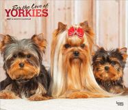 For Browntrout For the Love of Yorkshire Terriers 2027 14 X 24 Inch (Hanging) Monthly Deluxe Wall Calendar Foil Stamped Cover Plastic-Free