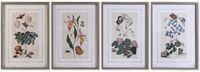 DKD Home Decor Schilderij Spar Kristal 50 x 65 x 2,5 cm Blommor (4 Onderdelen)