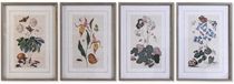 DKD Home Decor Schilderij Spar Kristal 50 x 65 x 2,5 cm Blommor (4 Onderdelen)