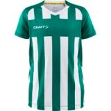Craft Kinder Sportshirt Progress 2.0 Stripe