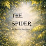 The Spider: Life is not always as expected.