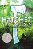 Hatchet Macmillan children's books Hatchet