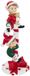 JJA GERSTESUIKER HARS ELF H23