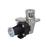 Delphi EG10553-12B1 EGR-ventiel