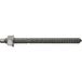 fischer Ankerstang RG M12x220 5.8-10 stuks