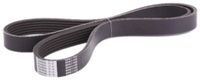 JAPANPARTS JPDV-6PK1145 V-riem