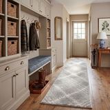 Safavieh Adirondack Collection, ADR129B hardloper, 62 x 240 cm, lichtgrijs/ivoor