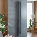 Hudson Reed Vitality Radiateur design vertical – Anthracite – 160 x 23,6 cm – 2 rangs – Thermostat – Câblé