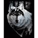mantiburi Royal & Langnickel 8 x 10" Dragon Wolf voorbedrukte folie set - zilver