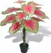 vidaXL Kunstplant caladium met pot 85 cm groen en rood