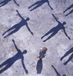 Muse Absolution 2 CD