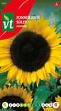 VT Zonnebloem Giganteus - Zonnebloemzaad