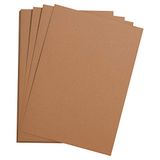 Clairefontaine 37870C Riem Etival Color Papier - 250 Vellen Zalmkleur Tekenpapier met Korrel - 50x65 cm 160g