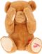 4KidsOnly Flappers Pluche Beer met bewegende armen - Ecopluche