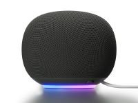 Google Home Speaker Hazel