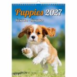 Helma365 C181-27 Puppyfoto's Kalender A3+ 2027 Wandkalender