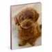 Lannoo Honden Desk Agenda 2027 Poedel