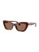 COACH Zonnebril 'CDP52' bruin / pueblo