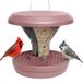 SWISSINNO Vogelvoeder Davos SMART BIRDS - Hangende Schone Voederplek - Muizen- en Rattenbestendig - Voor Roodborstjes, Nigerzaad - Sterk en Betrouwbaar - Dubbele Voedselkamers - Dusty Rose